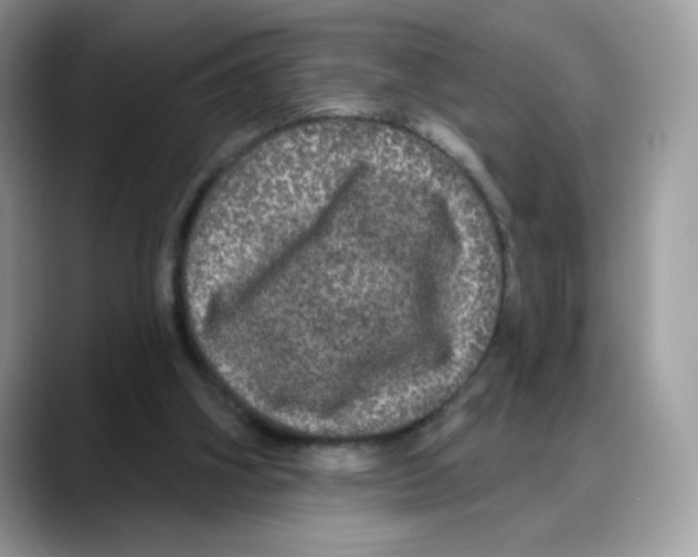 X0000088140106200706111432