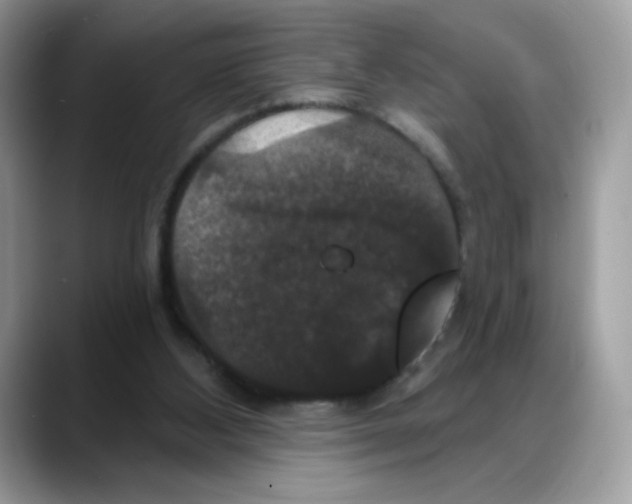 X0000088140108200706111432