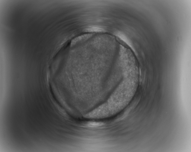 X0000088140109200706111432