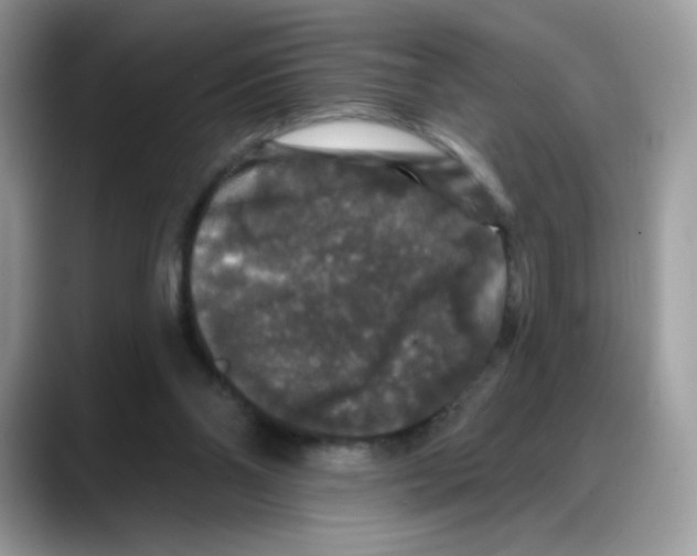 X0000088140110200706111432