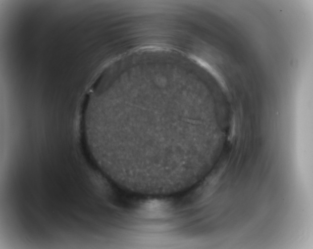 X0000088140111200706111432