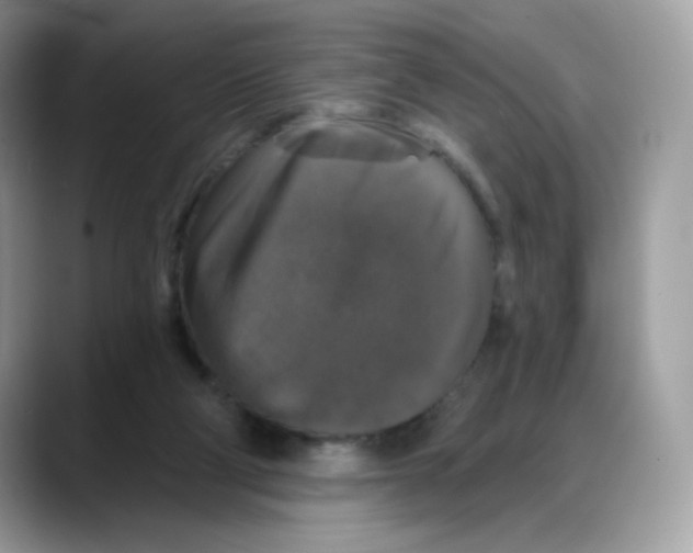 X0000088140114200706111432