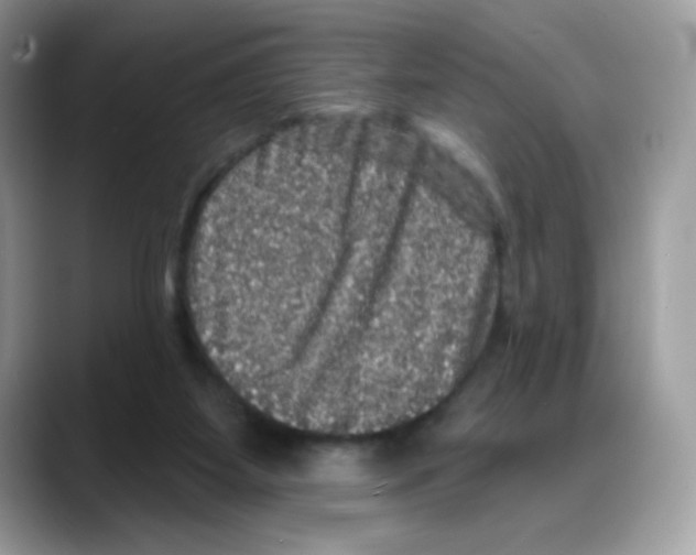 X0000088140115200706111432