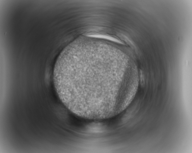 X0000088140119200706111432