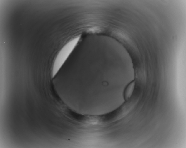 X0000088140127200706111432