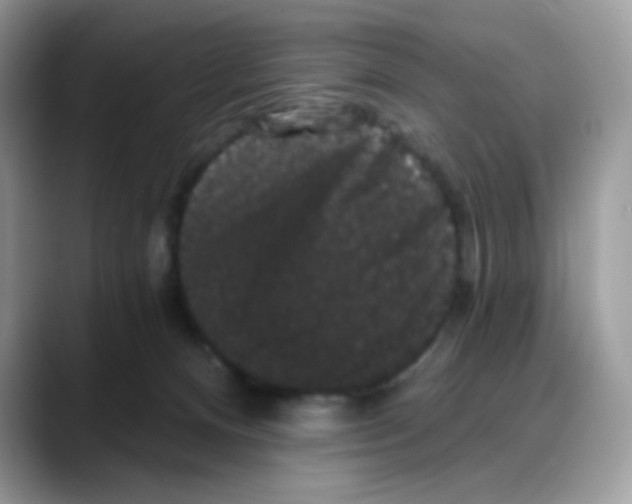 X0000088140128200706111432