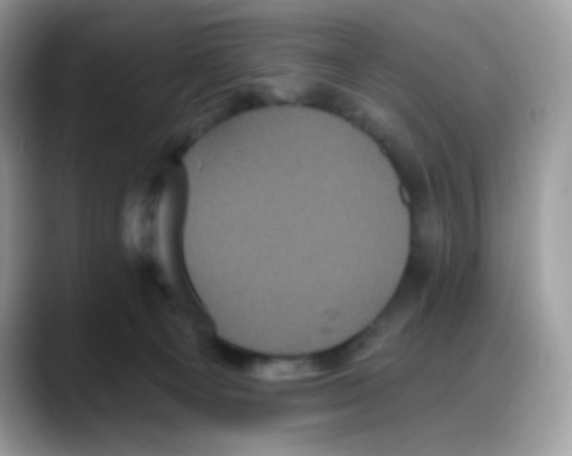 X0000088140129200706111432