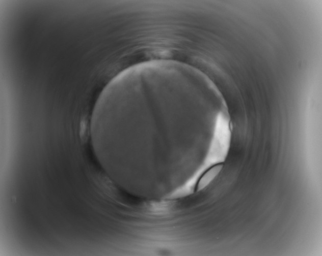 X0000088140134200706111432