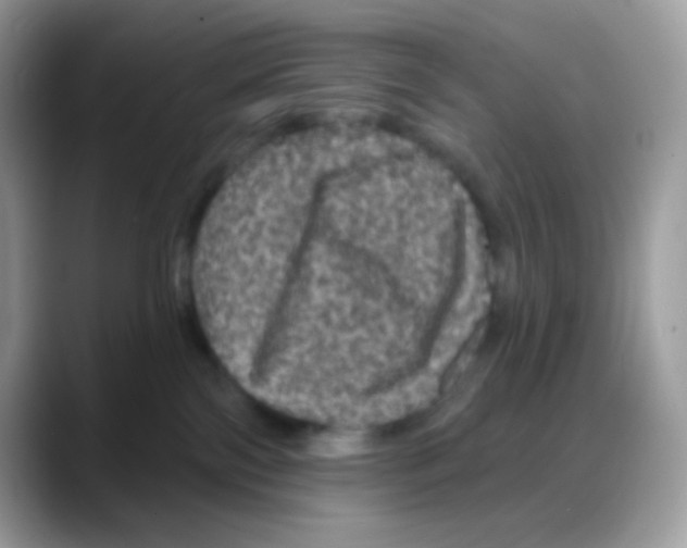 X0000088140138200706111432