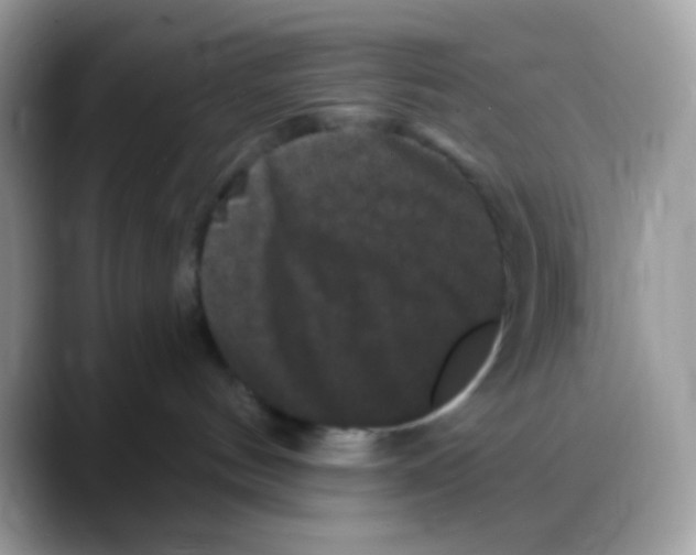 X0000088140144200706111432