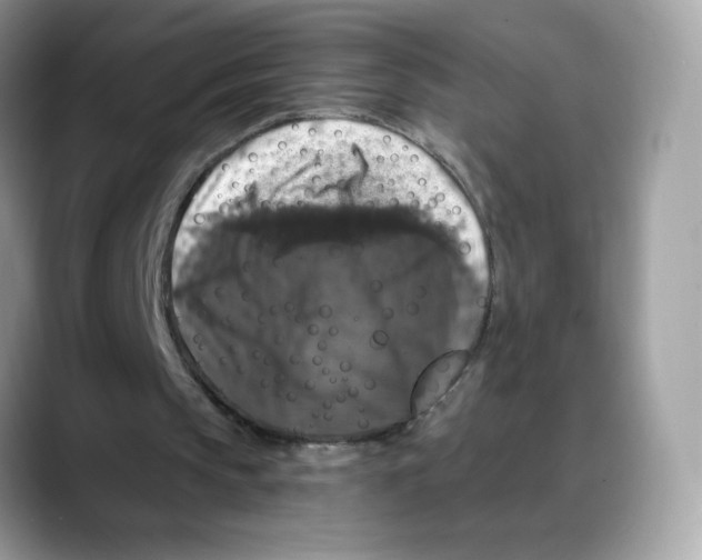 X0000088140145200706111431