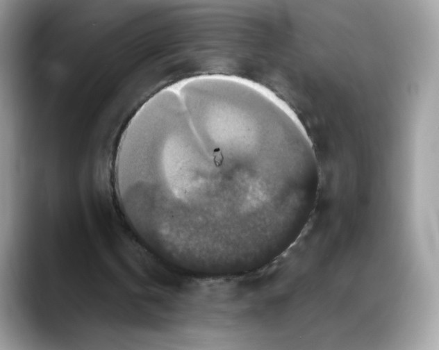 X0000088140146200706111431