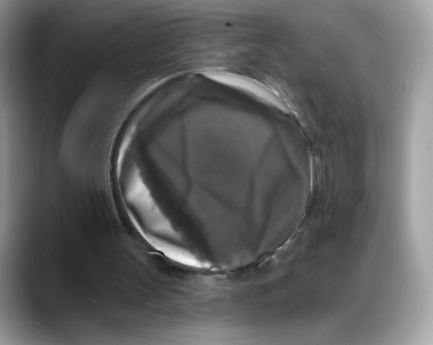 X0000088140147200706111431