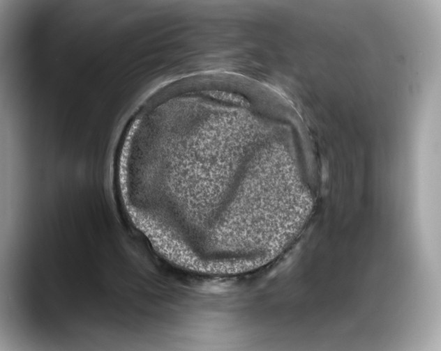 X0000088140148200706111431