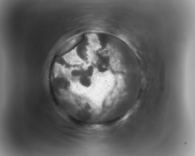 X0000088140151200706111431