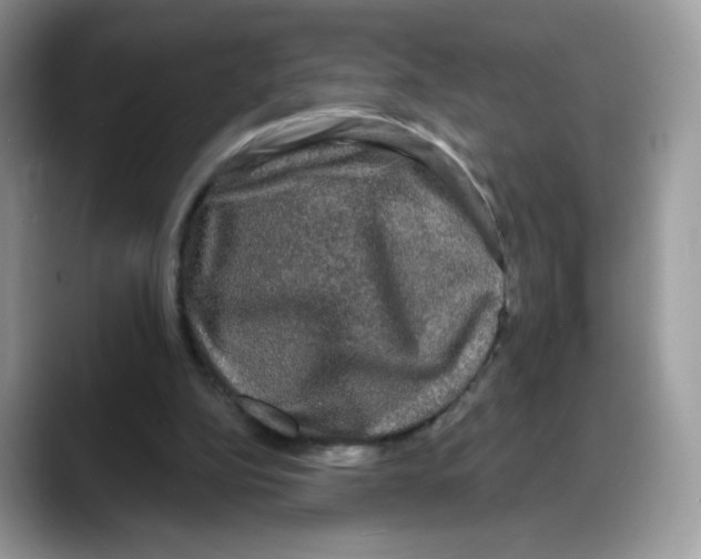 X0000088140152200706111431