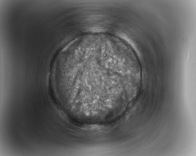 X0000088140153200706111431