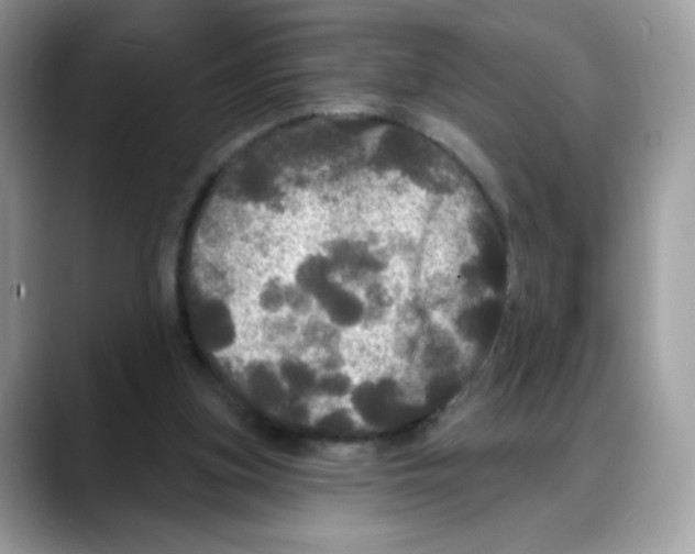 X0000088140155200706111431