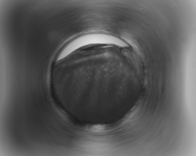 X0000088140156200706111431