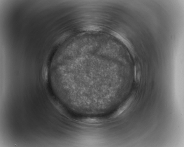 X0000088140157200706111431