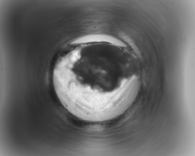 X0000088140161200706111432