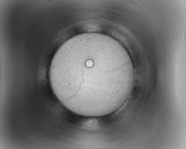 X0000088140162200706111432