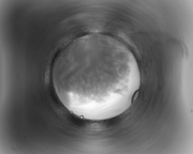 X0000088140163200706111432