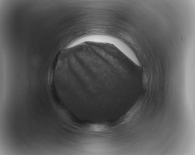 X0000088140168200706111432