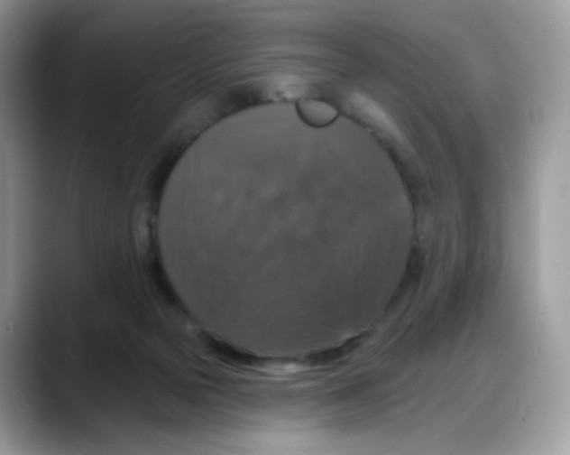 X0000088140169200706111432