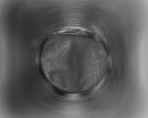 X0000088140170200706111432