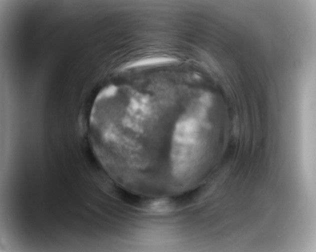 X0000088140173200706111432