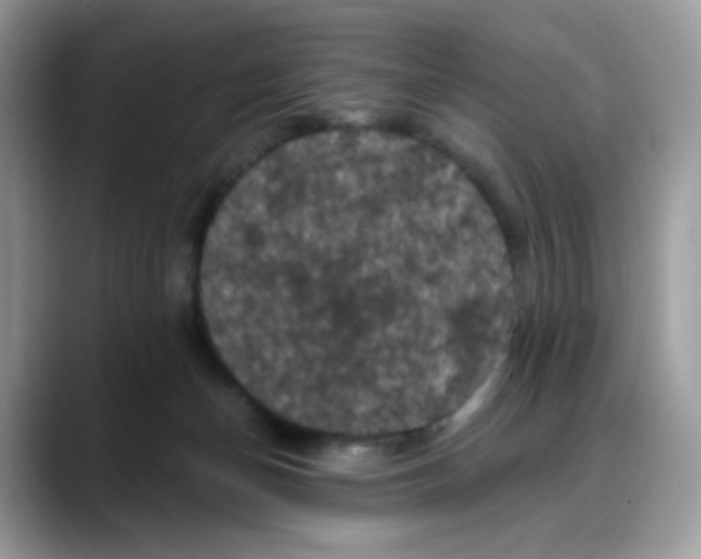 X0000088140174200706111432