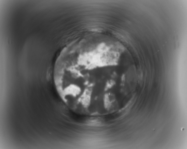 X0000088140175200706111432