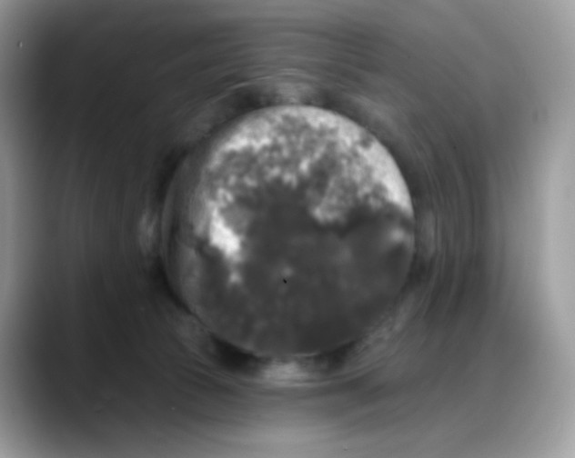 X0000088140177200706111432