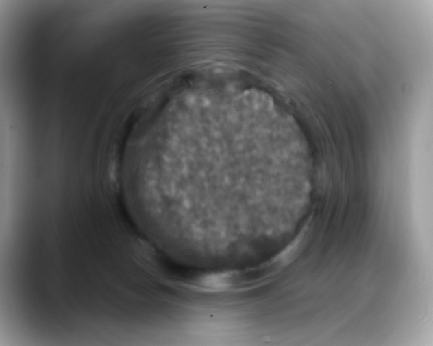 X0000088140178200706111432