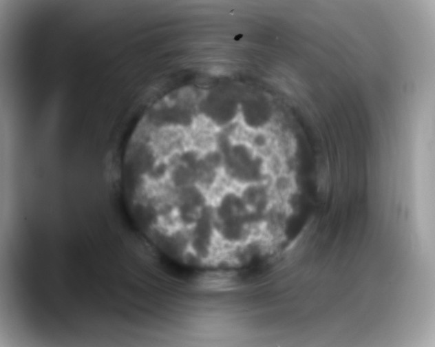 X0000088140179200706111432