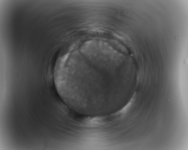 X0000088140186200706111432