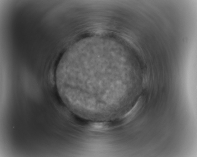 X0000088140187200706111432