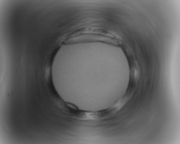 X0000088140188200706111432