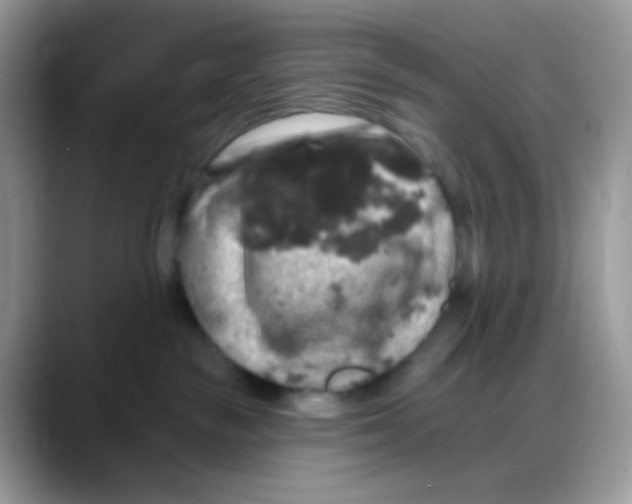 X0000088140189200706111432