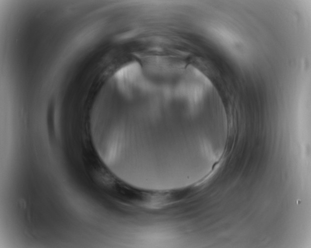 X0000088140191200706111432