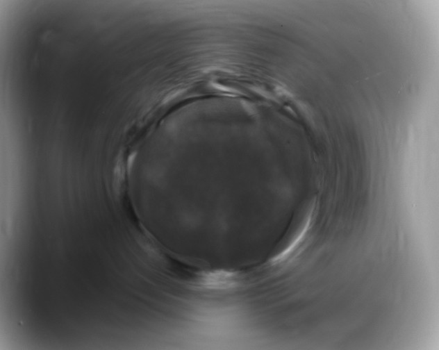 X0000088140192200706111432