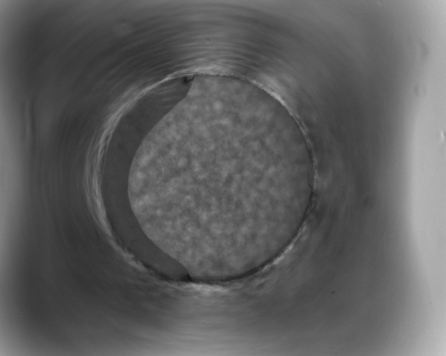 X0000088140193200706111431