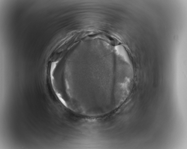 X0000088140194200706111431