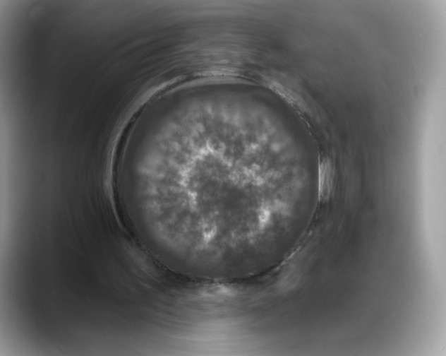 X0000088140195200706111431