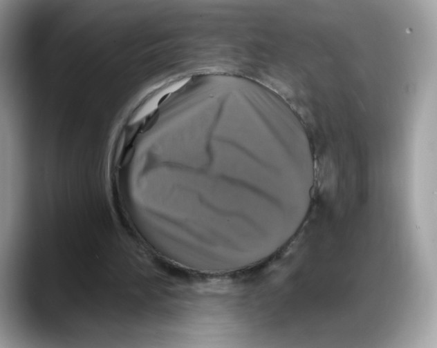 X0000088140196200706111431