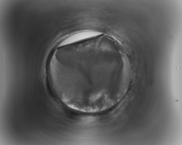 X0000088140198200706111431