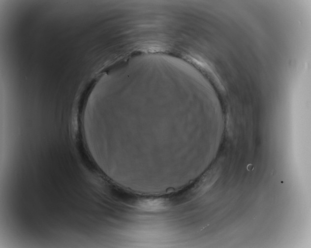 X0000088140202200706111431