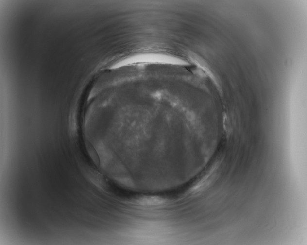 X0000088140203200706111431