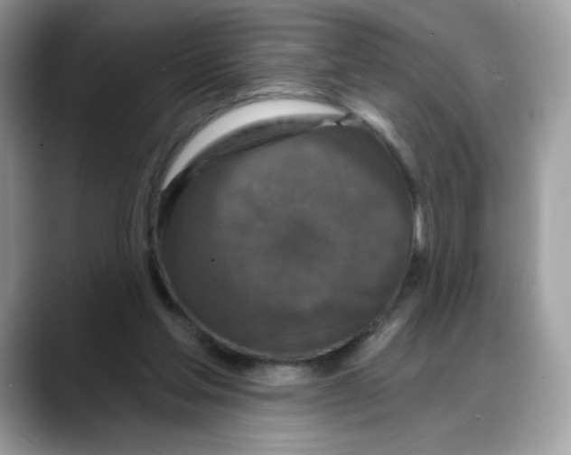 X0000088140205200706111431